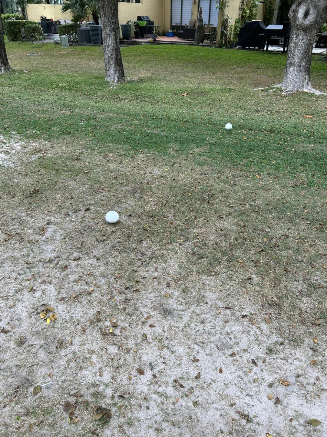 (Photo submitted by u314163431123 on 12/20/2024)