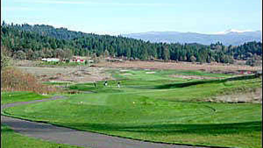 Mallard Creek #15