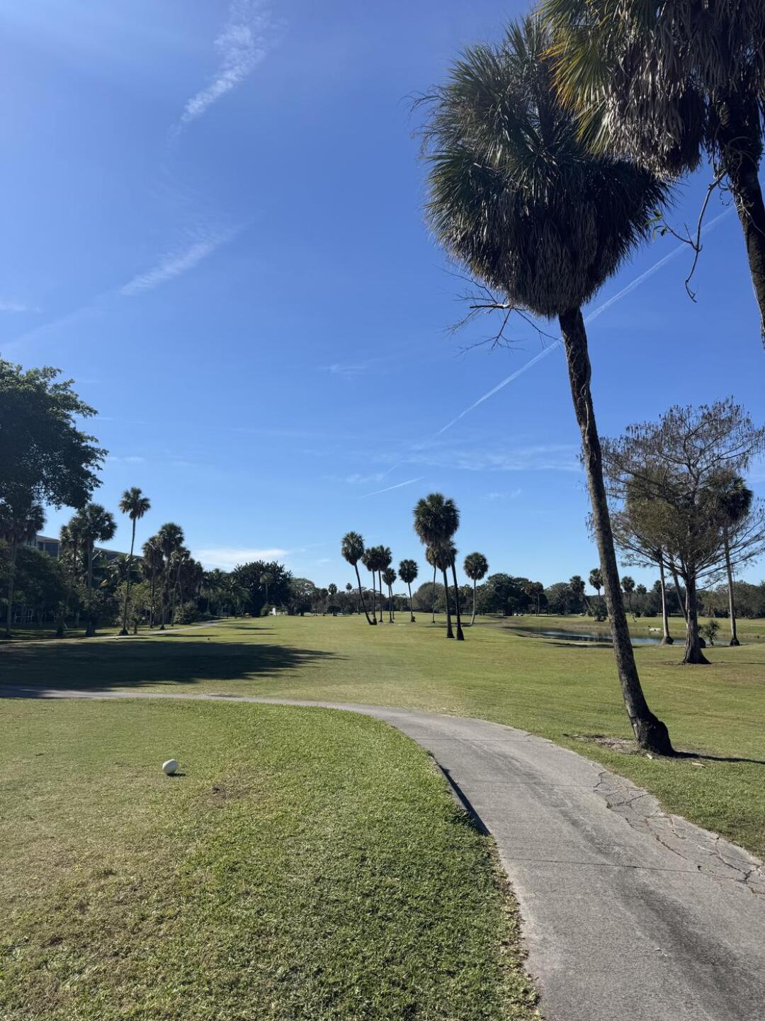 (Photo submitted by Zlatte71 on 01/03/2026)