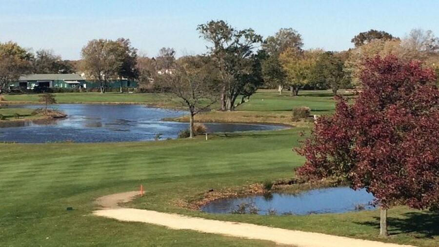 GC at Middle Bay
