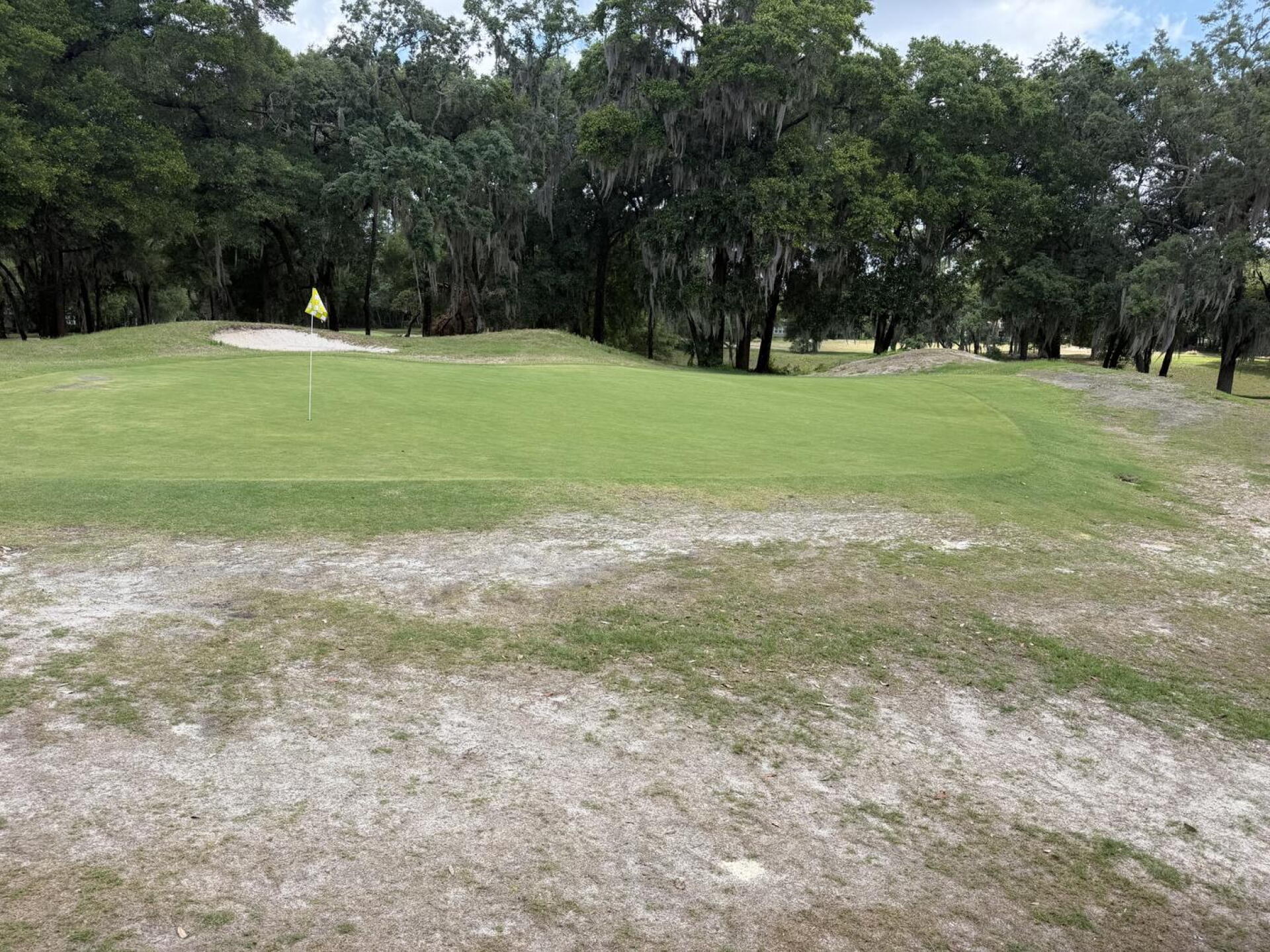 (Photo submitted by I2mqQPjr8hD1gaBOw1QM on 05/17/2026)