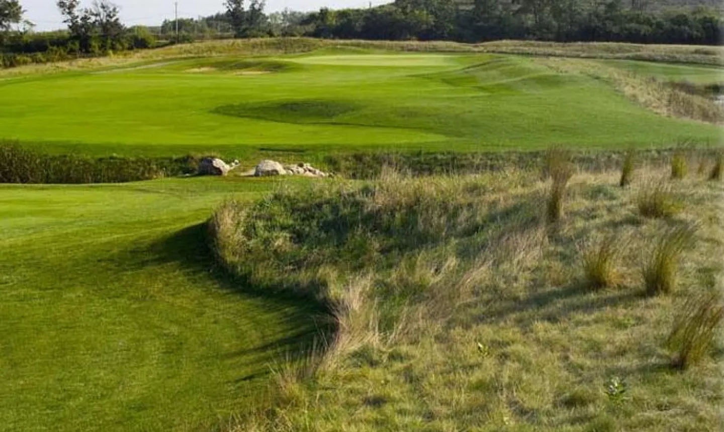 Shepherd's Crook G.C. - fescue