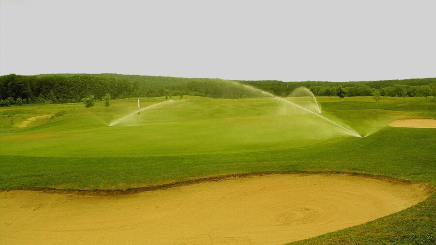 Friedberg/H GC