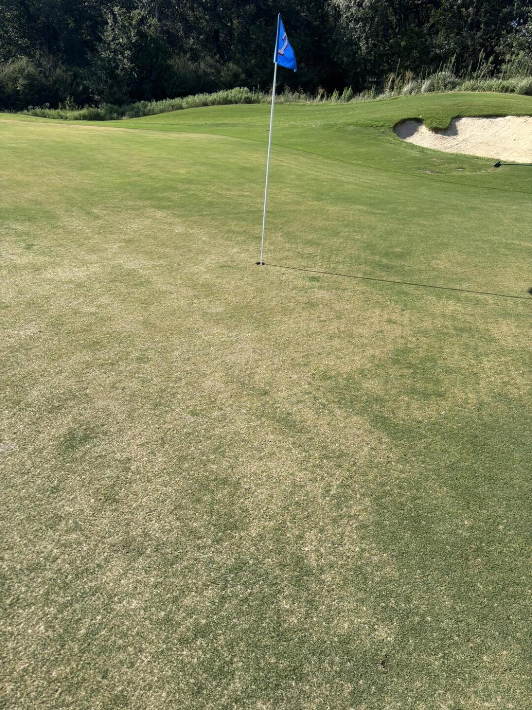 (Photo submitted by jcook137215 on 06/29/2026)