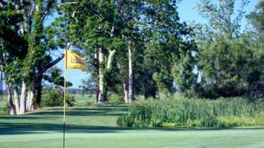 The Island CC: #13