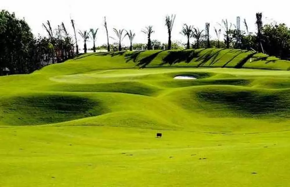 A Review of Iberostar Playa Paraiso Golf Club Merida Essentials