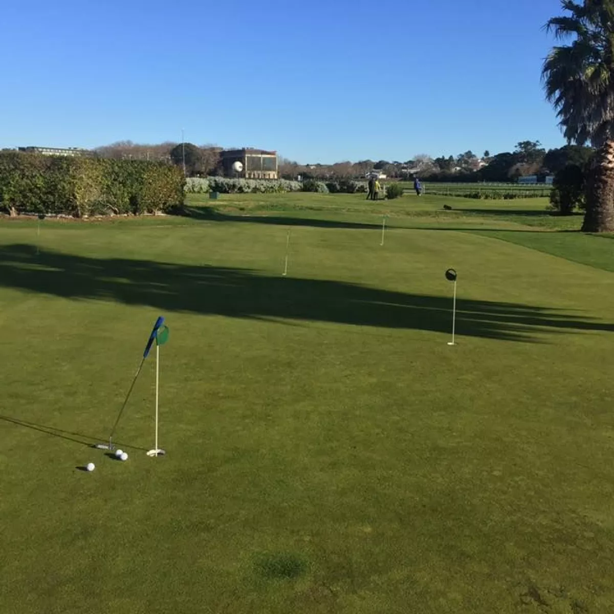 Golf Warehouse & Driving Range Ellerslie Course in Ellerslie