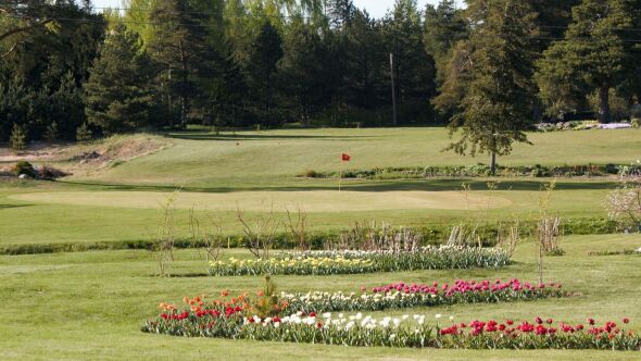 Ojasaare Golf
