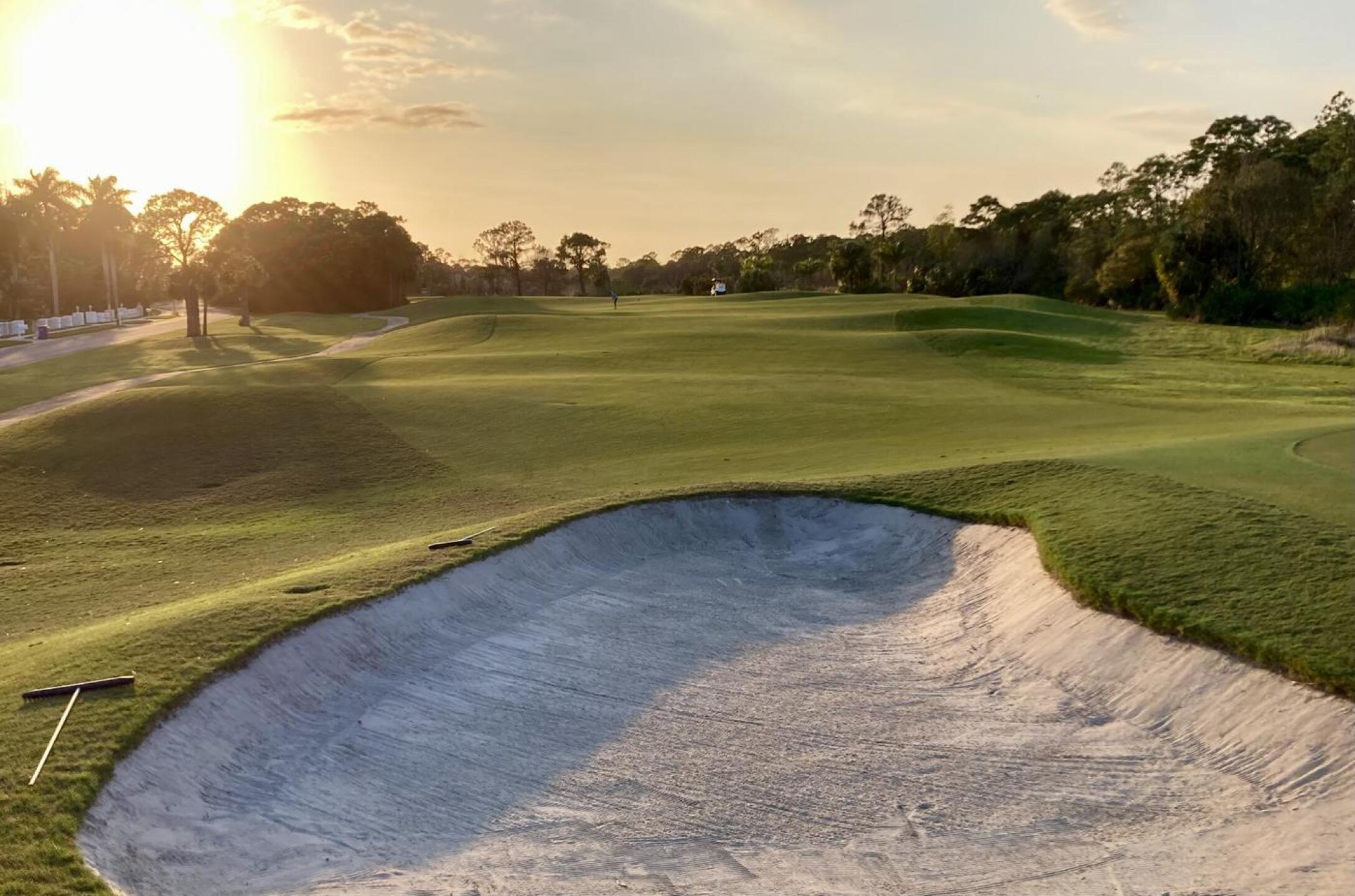 (Photo submitted by jorden17 on 01/05/2024)