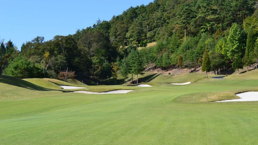 Green Hill Mizunami GC: #8