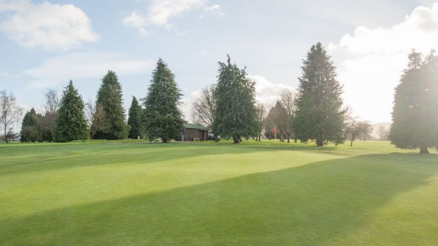 Taunton & Pickeridge GC: #8