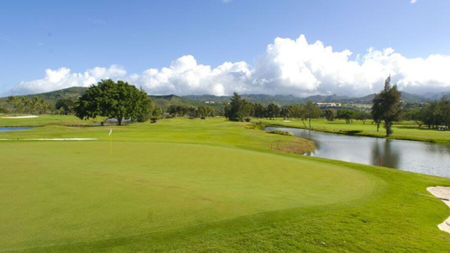 Honolulu CC: #8
