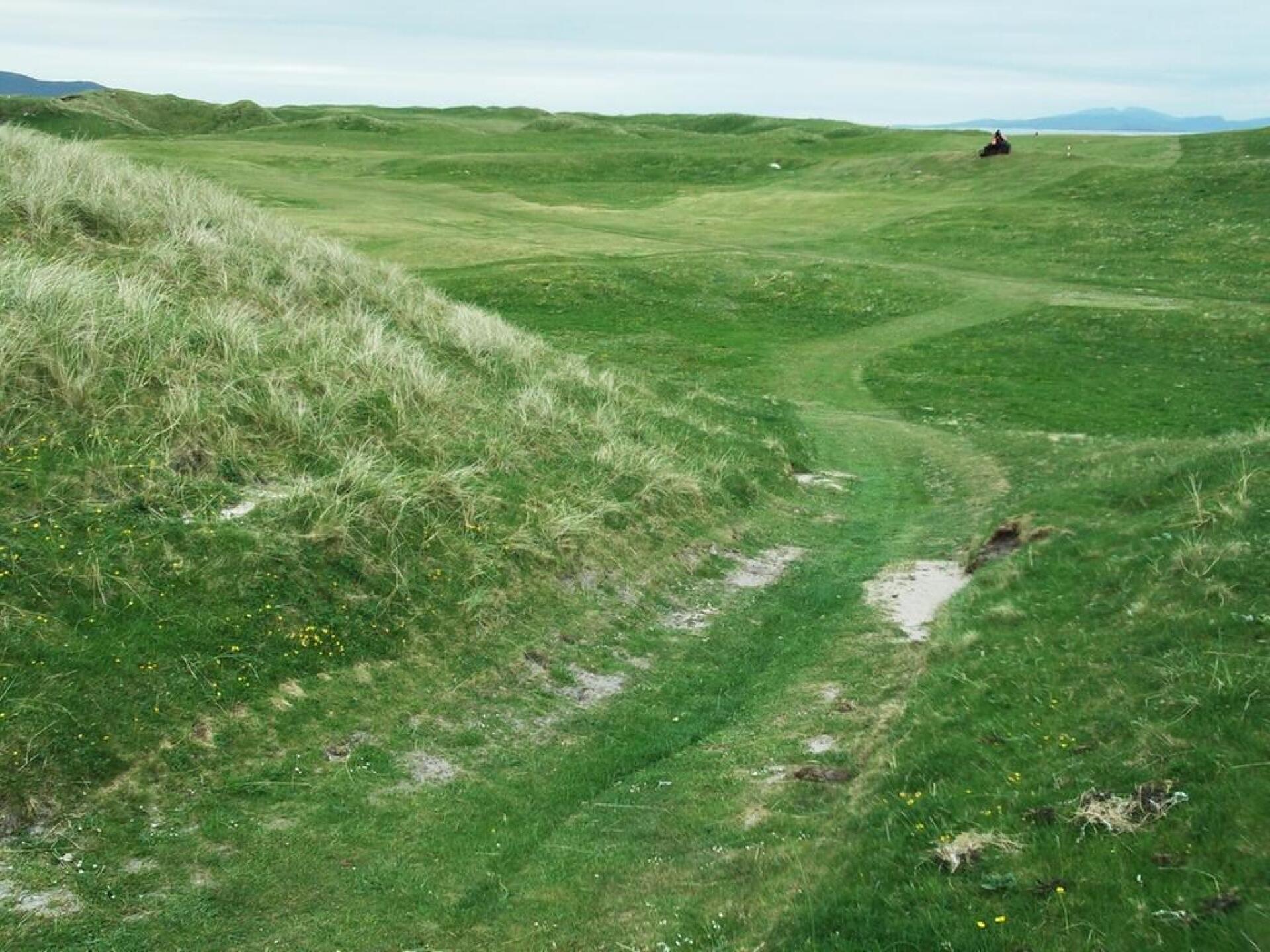 (Photo submitted by Amitbajaj on 10/11/2020)