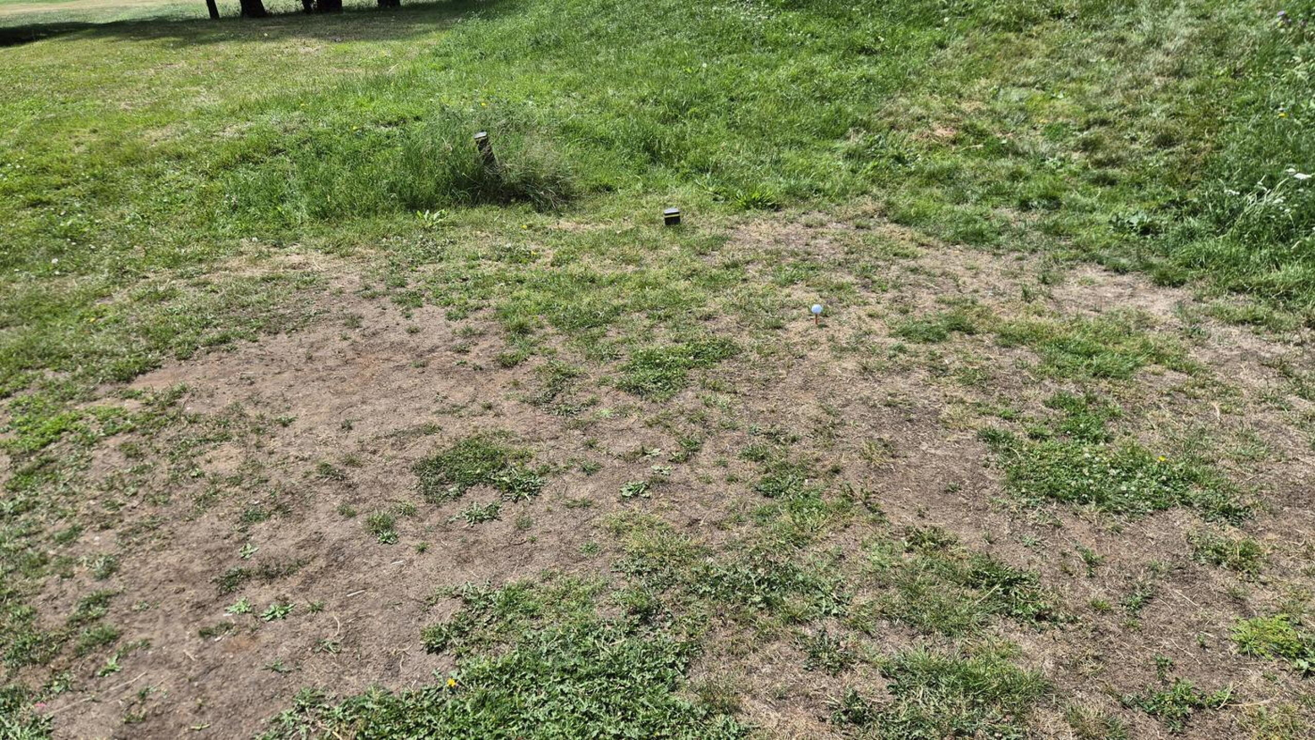 Tee box (Photo submitted by Chriscofferson on 06/23/2026)