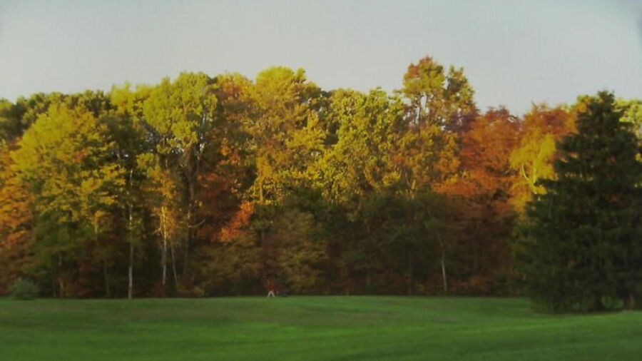 French's Hollow Fairways GC