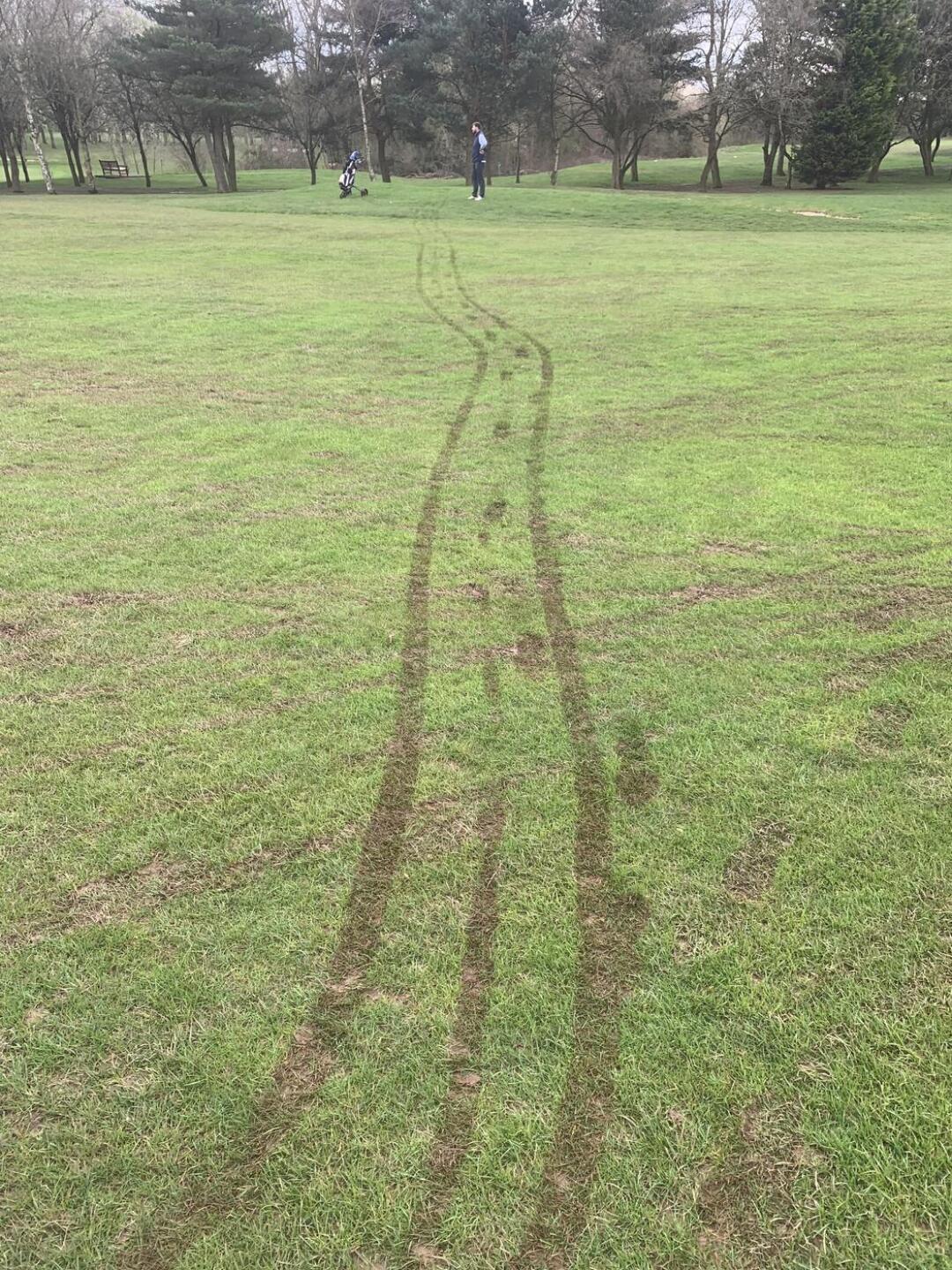 (Photo submitted by hodgejl on 04/02/2023)