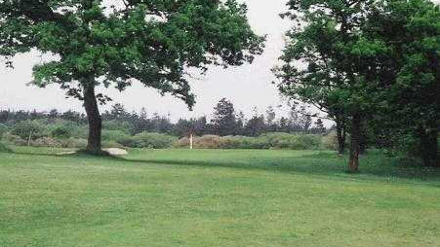 Ribe GC