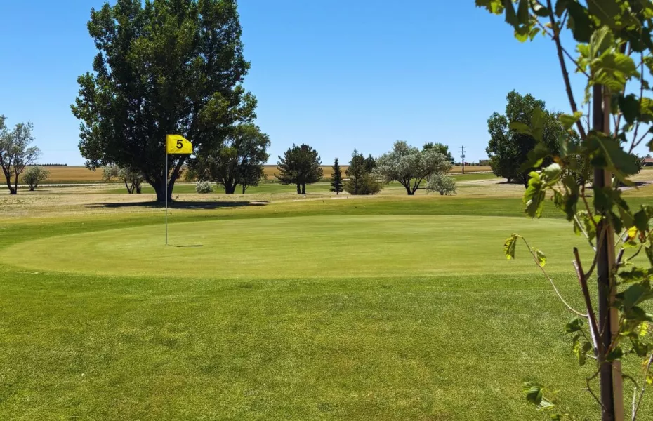 Golden Plains at Akron GC: #5
