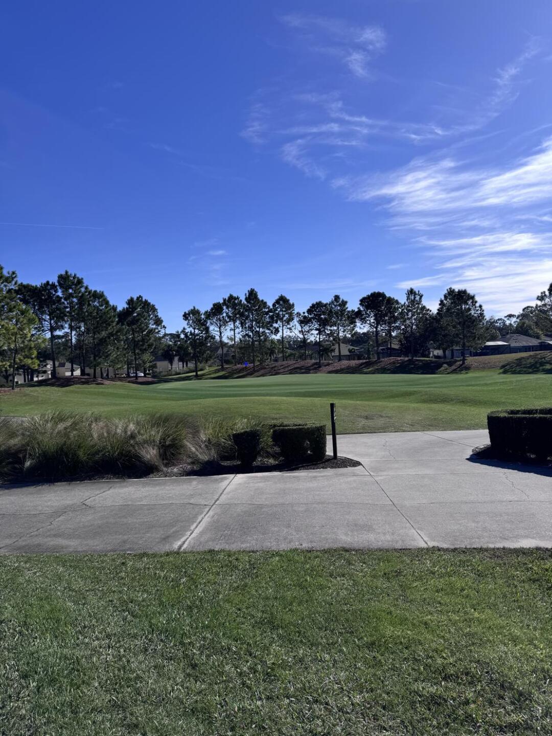 (Photo submitted by 1QVguzuroMOifA2trlUv on 12/21/2024)