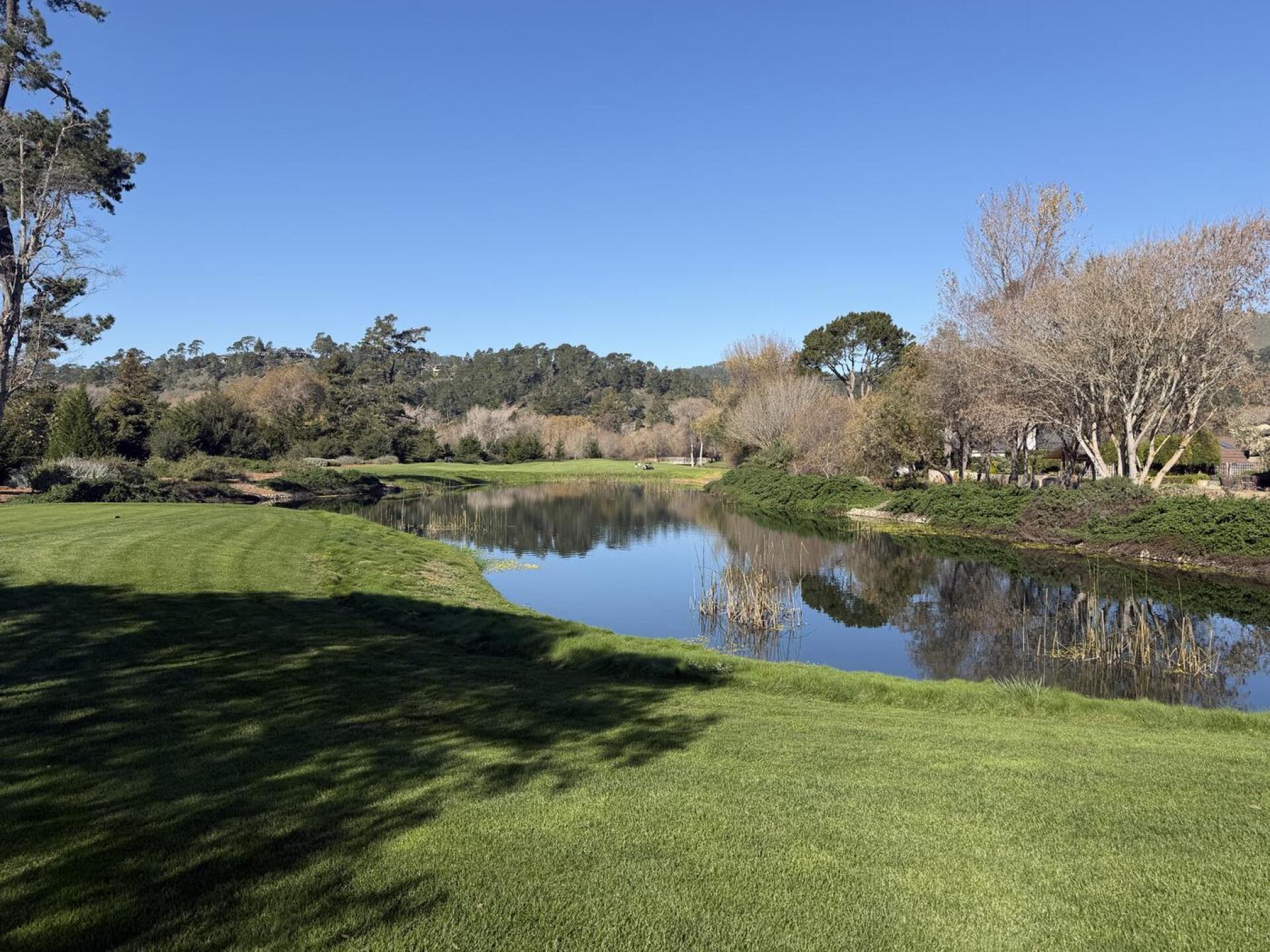 (Photo submitted by TinCup777 on 01/25/2026)