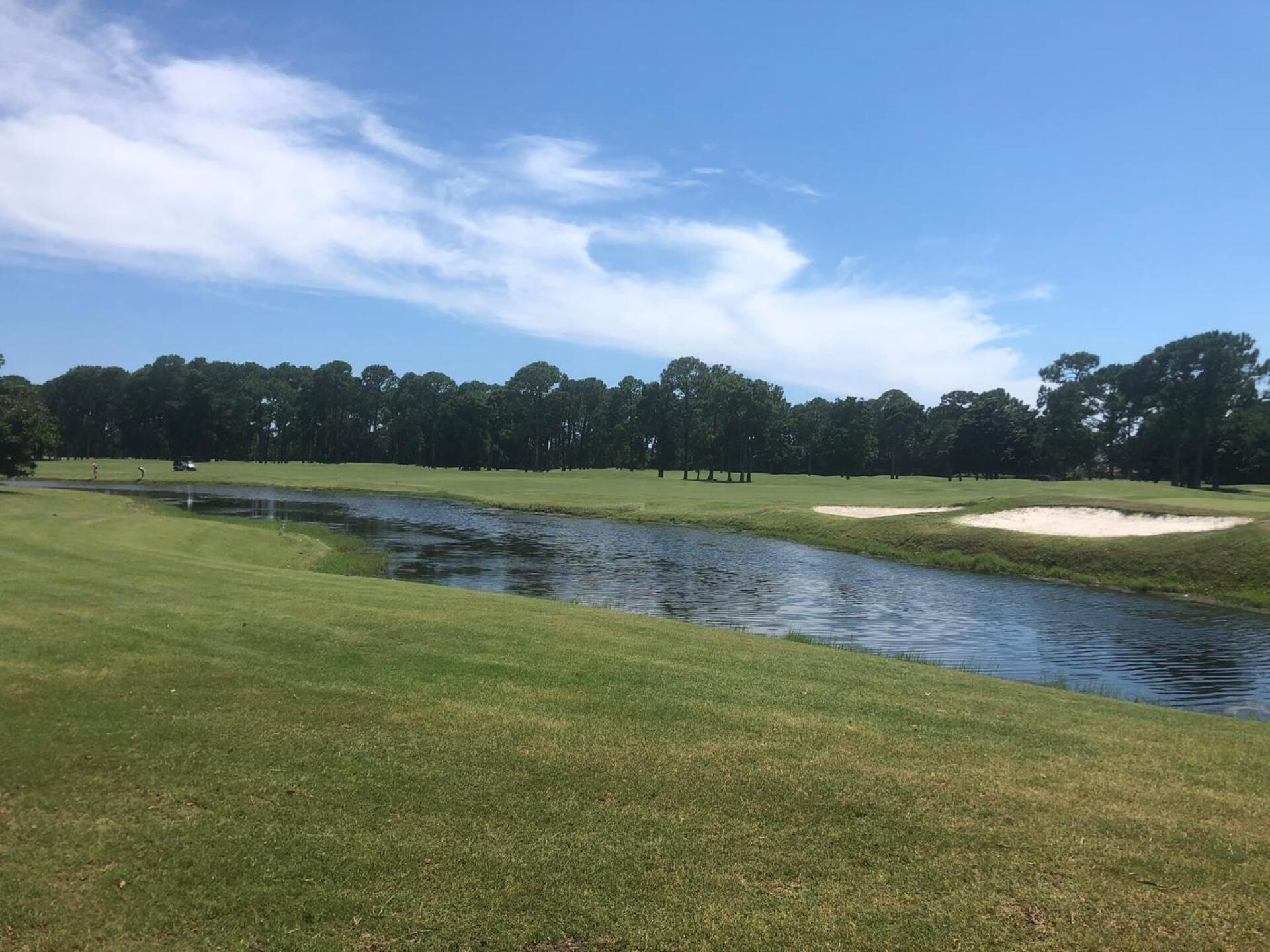 (Photo submitted by dc445356294 on 06/18/2020)