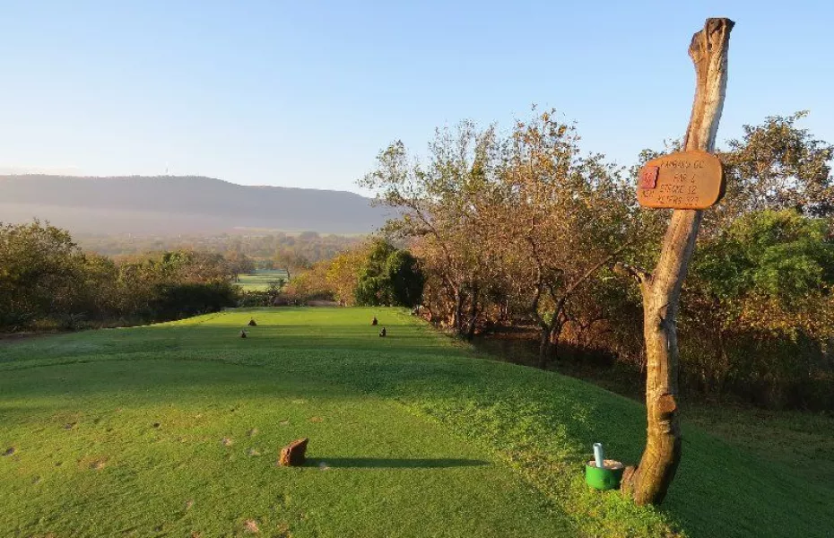 Kambaku Komatipoort GC