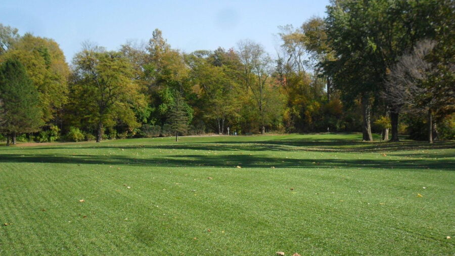 Napoleon GC: #4