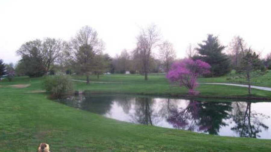 Westlake CC
