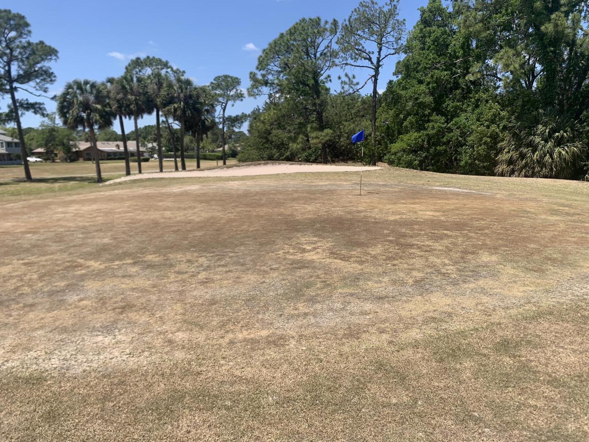 (Photo submitted by willies3867 on 04/20/2025)