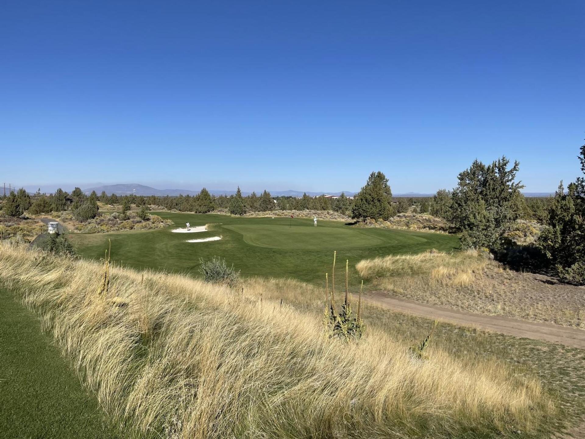 (Photo submitted by JasonDeeganGA on 11/29/2022)