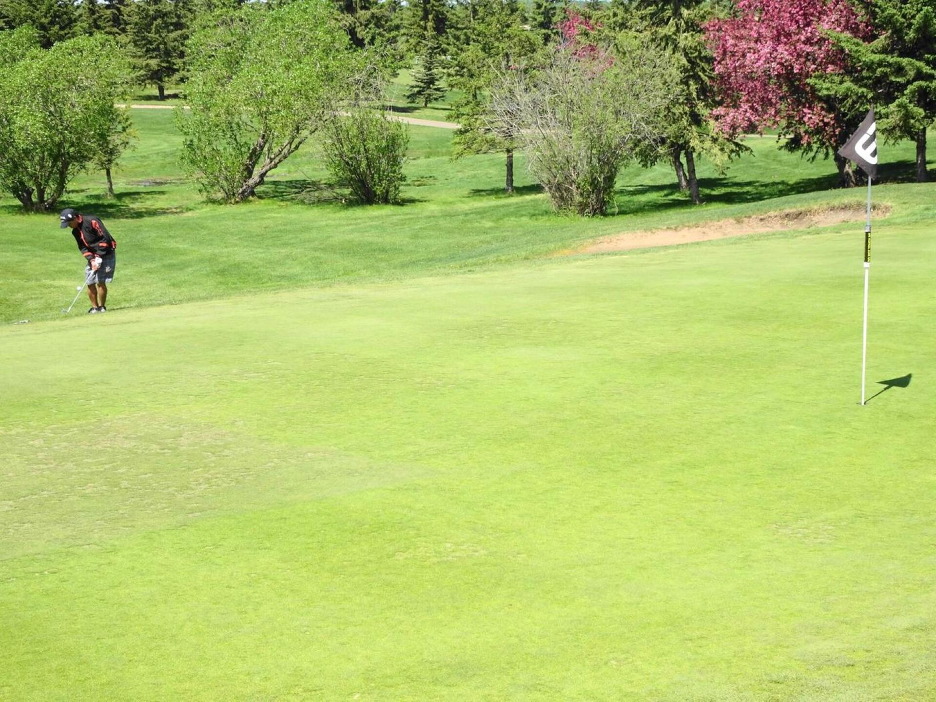 (Photo submitted by JFStahl on 06/02/2020)