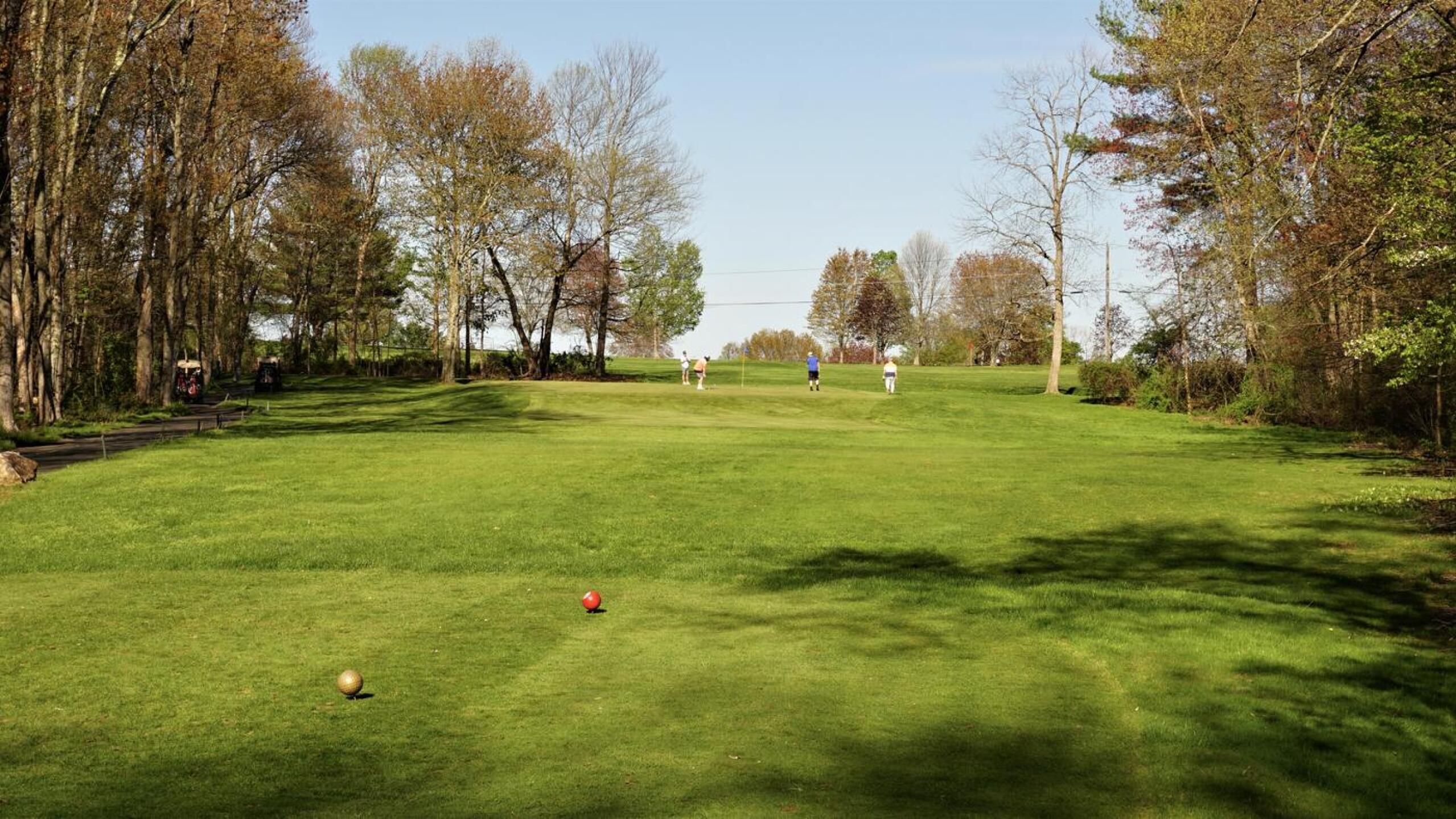 Fifteen. A short par-3 playing uphill to a pedestal green. (Photo submitted by AptlyLinked on 05/02/2021)