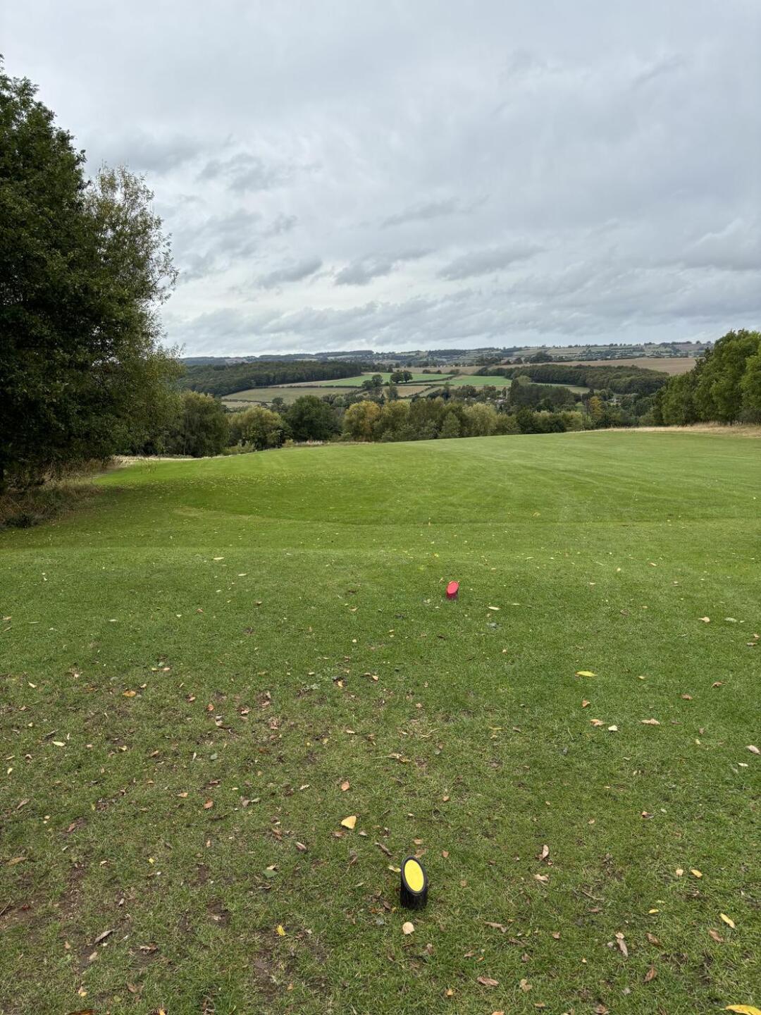 (Photo submitted by vHys8tGDFcxQo4BSLrQU on 09/14/2025)