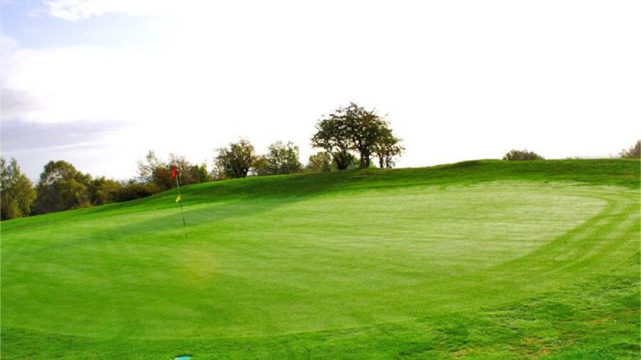 Llanymynech GC: #12