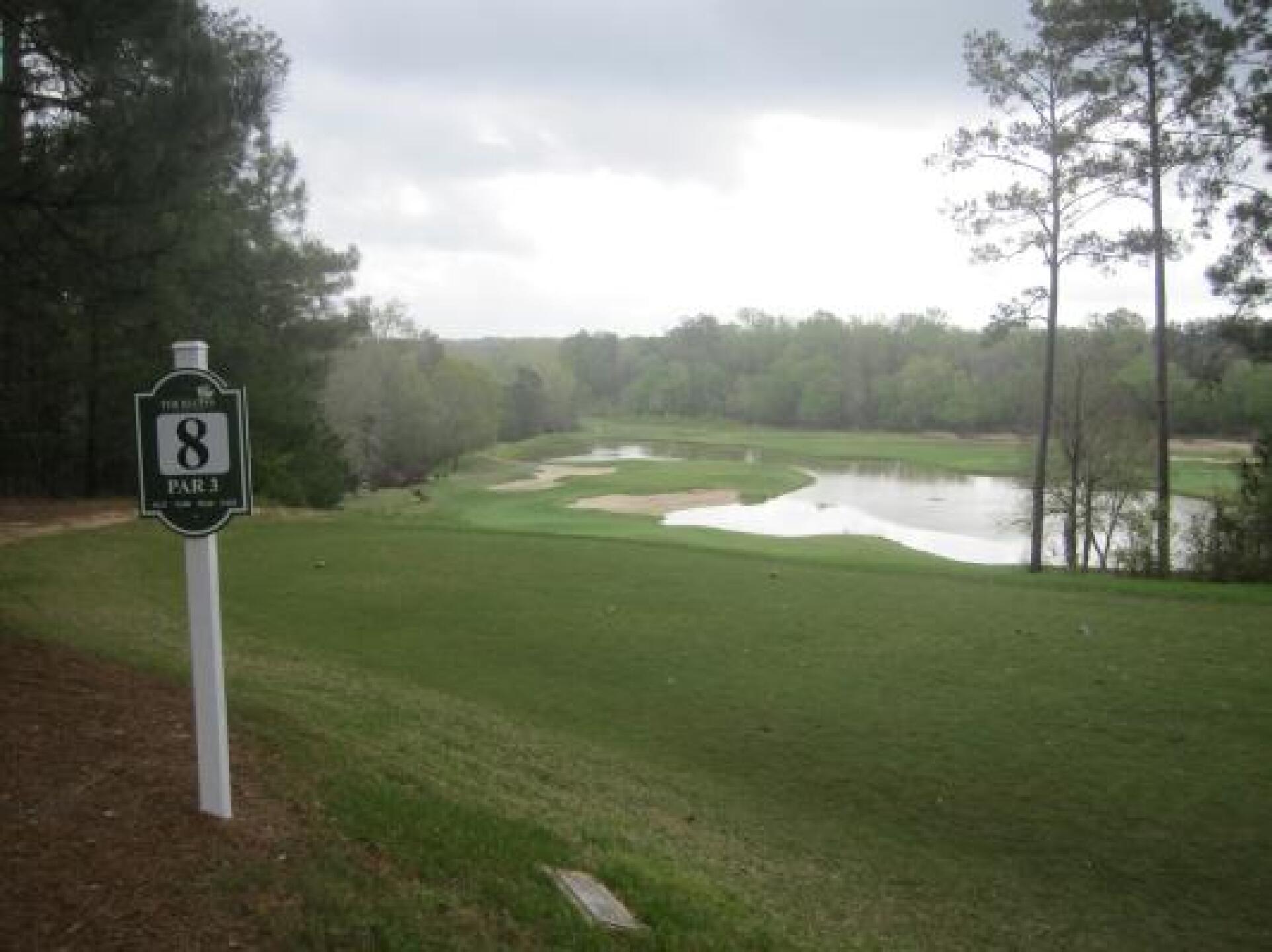 PAR 3(8TH) (Photo submitted by lsutigers17 on 02/14/2013)