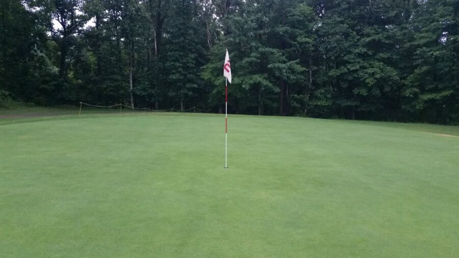 Apple Valley CC: #2