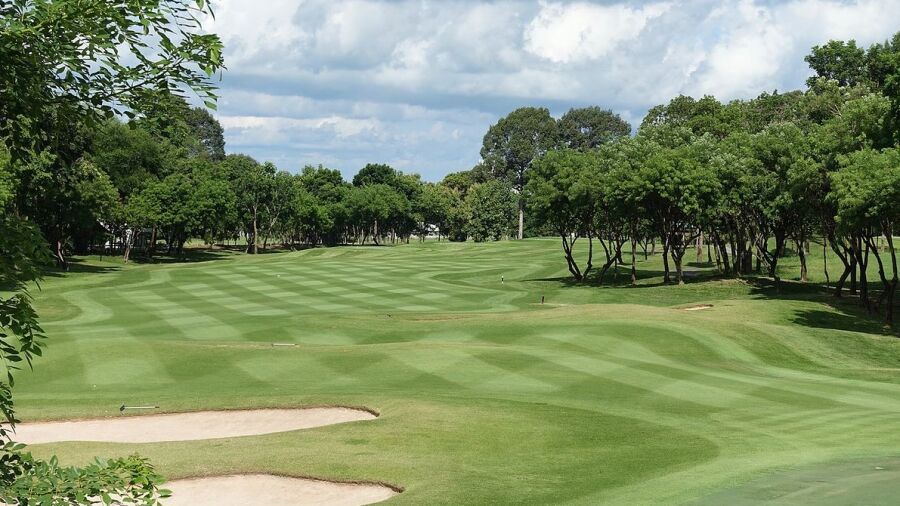 Phoenix Gold GCC - Mountain: #5