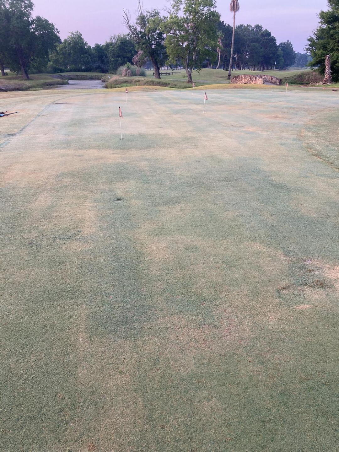Putting green. (Photo submitted by u000005348363 on 05/27/2023)