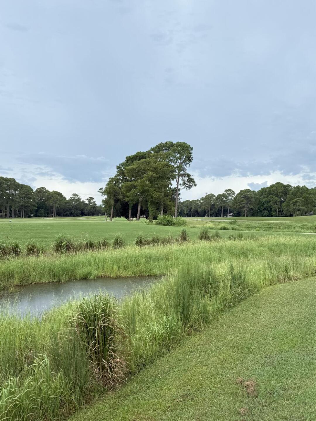 (Photo submitted by u4410039 on 08/12/2025)