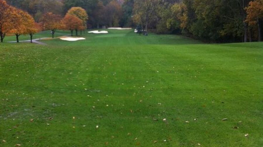 York GC: #9