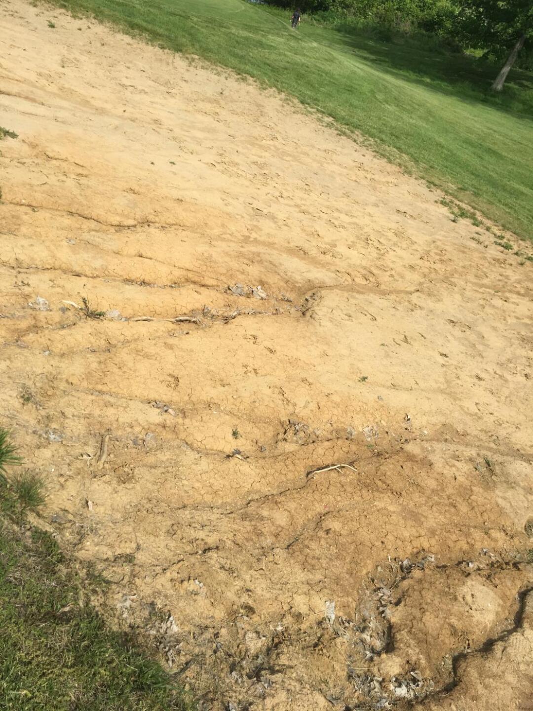 (Photo submitted by pmfilanowski on 05/16/2019)