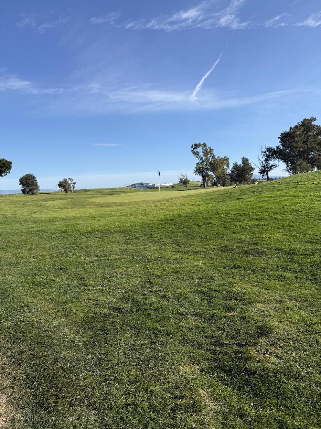 (Photo submitted by Briane4567 on 02/09/2026)