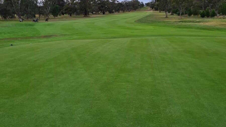Tanunda Pines GC