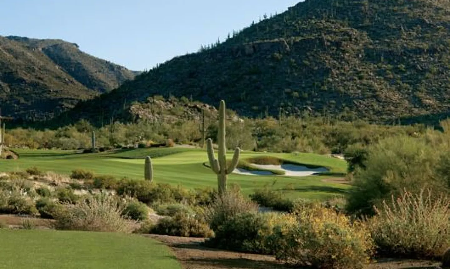 Ritz-Carlton Golf Club at Dove Mountain - Wild Burro - hole 4