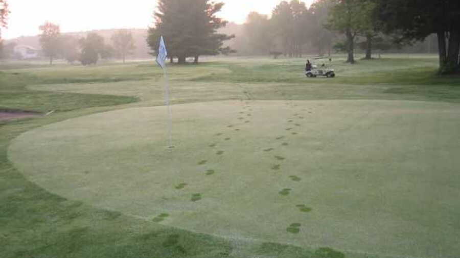 Sweet Water GC