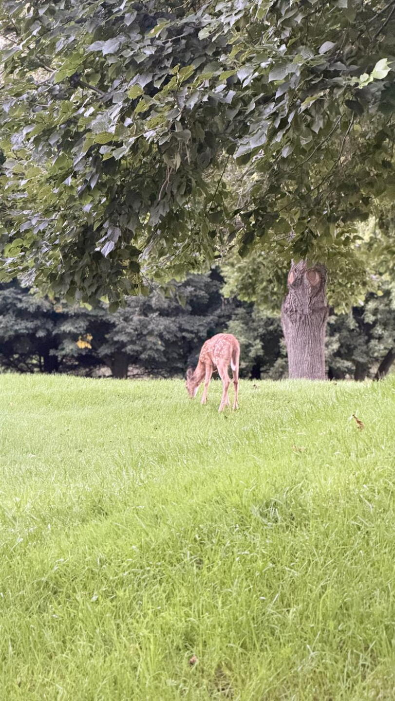 (Photo submitted by Harjeet777Brar on 09/07/2026)
