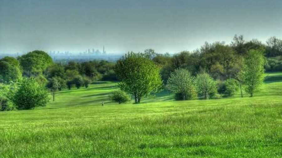 Epsom GC: #6