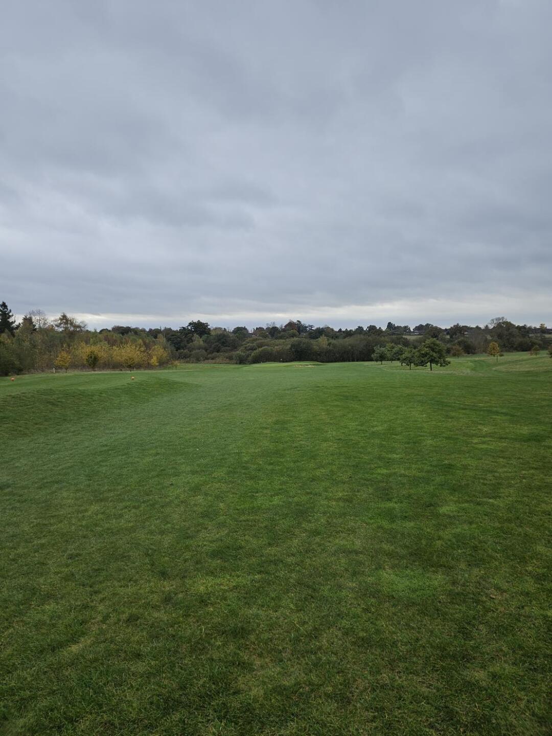 (Photo submitted by W3aPwJDHjFlHh81OzxIt on 10/29/2024)