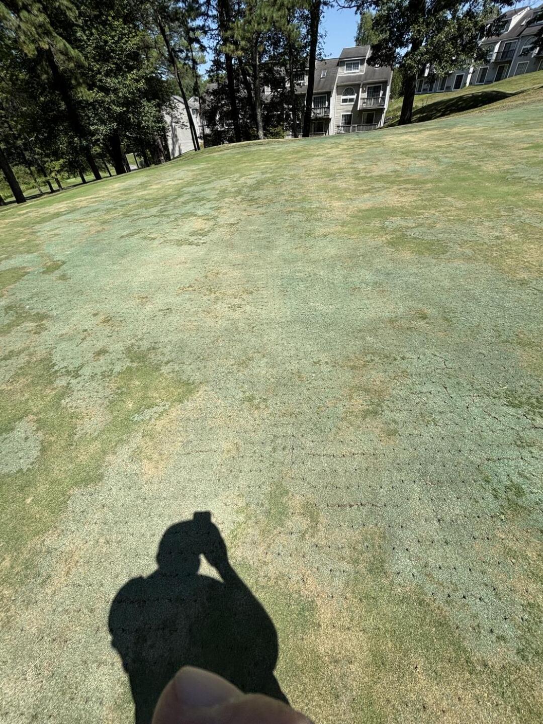 (Photo submitted by Jamoke1 on 08/08/2025)