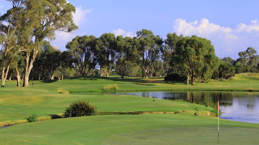 Meadow Springs CC: #8